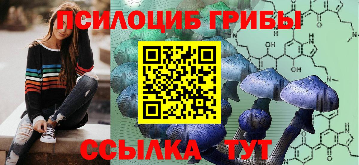 Галлюциногенные грибы Psilocybe  Вход с VPN  Орехово-Зуево  Псилоцибиновые грибы мухоморы 